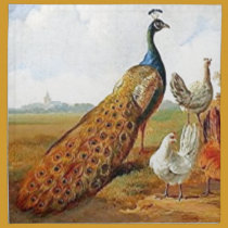 Pfau mit Hennen servietten