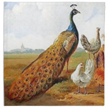 Pfau mit Hennen Servietten