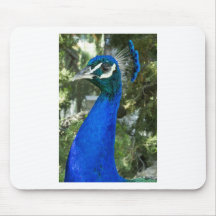 Pfau-Pose Mousepads