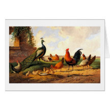 Pfau und Hühner Karte