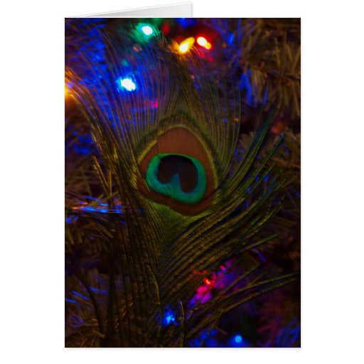 Pfau-Weihnachtsfeder Grußkarten
