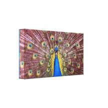 Pfau wickelte Leinwand-Druck ein Leinwanddrucke