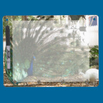 PfauShowoff memoboards