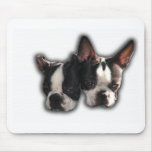 Pfeifer-pinocchio Paare Mousepads