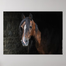 Pfeiler-Stutendruck Waliser-Abschnitts D Plakatdruck