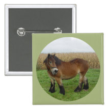 Pferd-aussehende Rückseite des belgischen Entwurfs Buttons