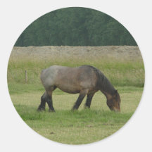 Pferd-braunes/graues Weiden lassen des belgischen  Stickers