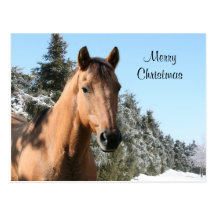Pferd der frohen Weihnachten Postkarten