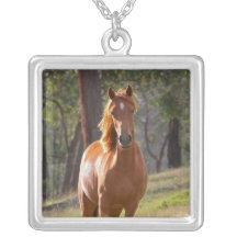 Pferd im Holz Amuletten