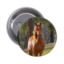 Pferd im Holz Anstecknadelbuttons