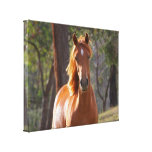 Pferd im Holz Galerie Falt Leinwand