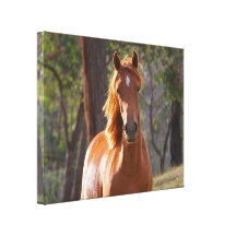 Pferd im Holz Galerie Falt Leinwand