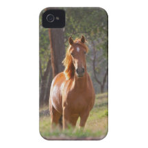 Pferd im Holz iPhone 4 Case-Mate Hüllen
