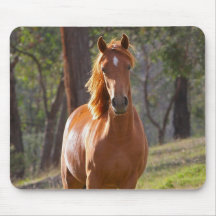 Pferd im Holz Mousepads