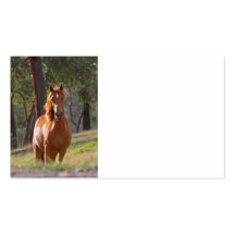 Pferd im Holz Visitenkarten Vorlage