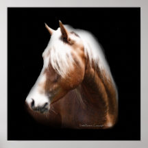 Pferd im schwarzen Plakat