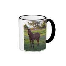 Pferd Kaffee Tasse