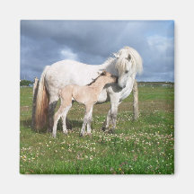 Pferd mit ihrem Baby Kühlschrankmagnet