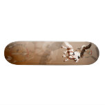 Pferd und Eagle-Skateboard Skate Board