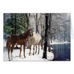Pferde in der Schnee-Gruß-Karte