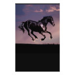 Pferdetanz-Silhouette am Sonnenuntergang Büropapier