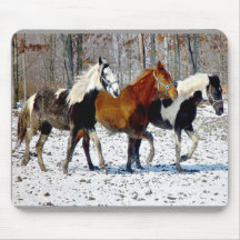 Pferdetrio Mousepad