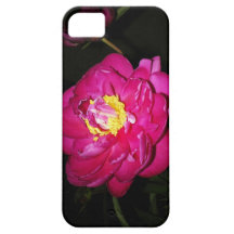 Pfingsrose... Schutzhülle Fürs iPhone 5
