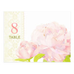 Pfingstrosen-Wedding Tischnummer-Postkarte (Doppel