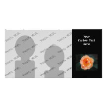Pfirsich - gelbe Rose, auf Schwarzem Foto Grußkarte