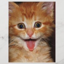 Pfirsich-Miezekatze Personalisierte Flyer