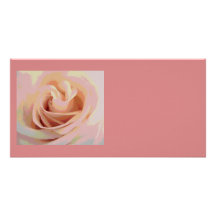 Pfirsich-rosa Rosen-Makro Fotokartenvorlage