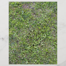 Pflanzen, die auf grüner grasartiger Landschaft wa Flyerbedruckung