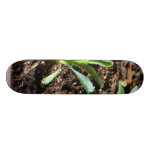 Pflanzen-Sprösslings-Schmutz Individuelle Skatedecks