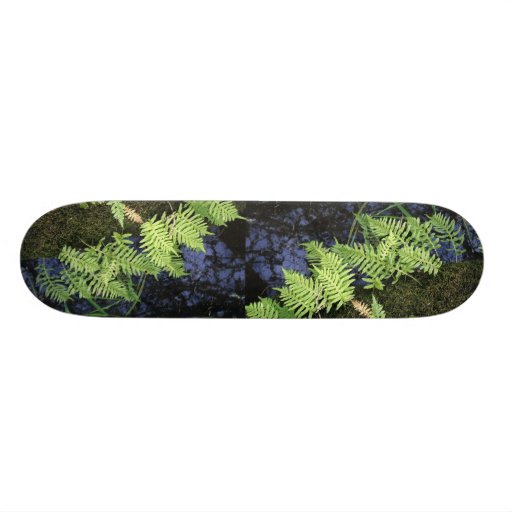 Pflanzen und Wasser-Landschaft Skateboarddeck