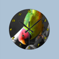 Pflaume ging Parakeet-Uhr voran wanduhren