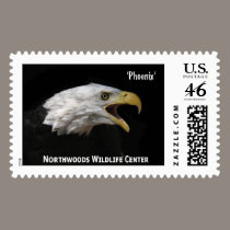 "Phoenix" Weißkopfseeadler (2) briefmarken