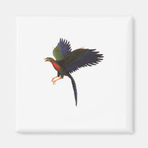 phoenixtrans magnete