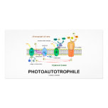 Photoautrophile (Fotosynthese) Individuelle Foto Karten