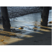 Pier-Strand-Ozean Photoskulptur