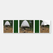Pilz #6 auto sticker