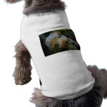 Pilz-Quallen II Hundebekleidung