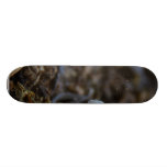Pilz-Schmutz-Blätter Individuelle Skateboards