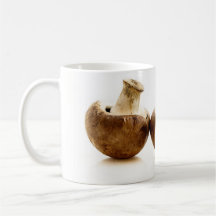 Pilze Kaffeehaferl