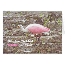 PINK AND WHITE SPOONBILL BIRD (PHOTOGRAPHY) GREETING CARDS