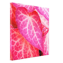 Pink leaf II Canvas Print