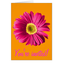 Pinkfarbene Gänseblümchen-Blumen-Einladung oder Ge Karten
