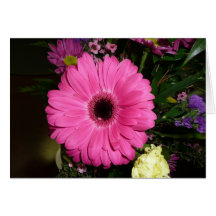 Pinkk Gerber Gänseblümchen Karte