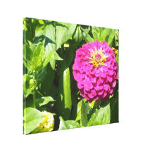 PinkZinnia Gespannte Galeriedrucke