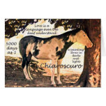 Pinto-taubes Pferd Chiaro Grußkarte