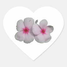 Pinwheel-Blumenrosa mit natürlichen Kennzeichen Stickers